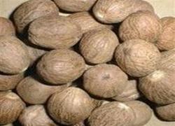 豆蔻进口报关单证办理要求