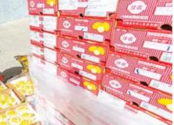 厄瓜多尔麒麟果进口报关公司