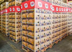 厄瓜多尔火龙果进口报关代理清关运输