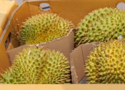榴莲进口报关申报要求