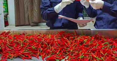 食品进口通关流程详细解读