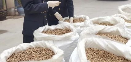 青岛自贸片区药食同源进口政策更便利了