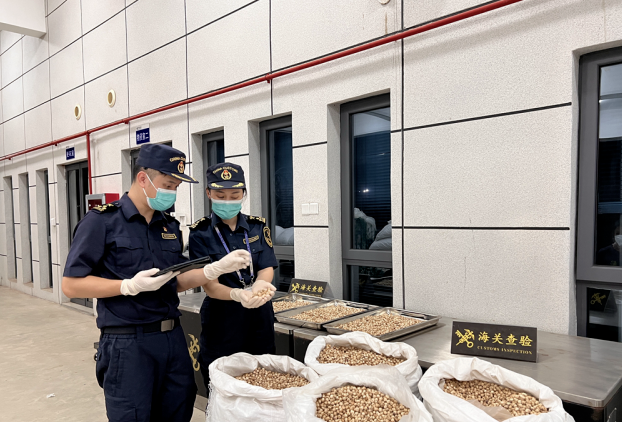 印尼豆蔻药食同源顺利进口广西南宁空港