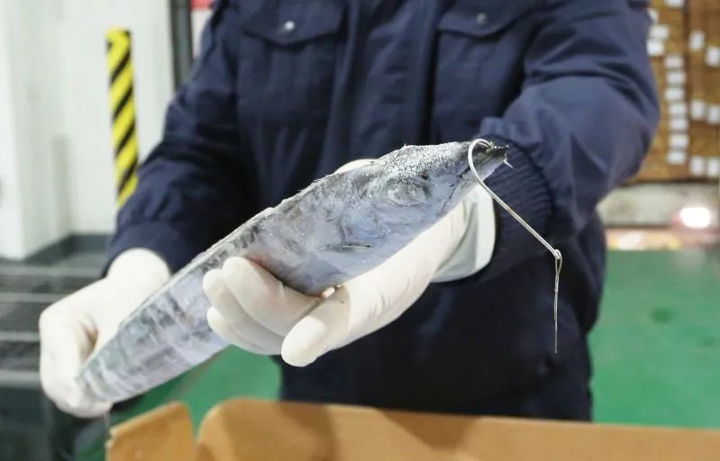 浦东机场海关全力保障展品快速通关