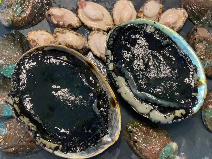 水产品进口报关流程及申报规范