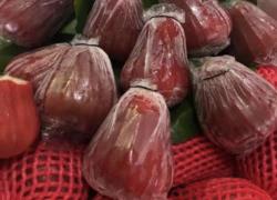 湖南空港口岸首次进口莲雾水果