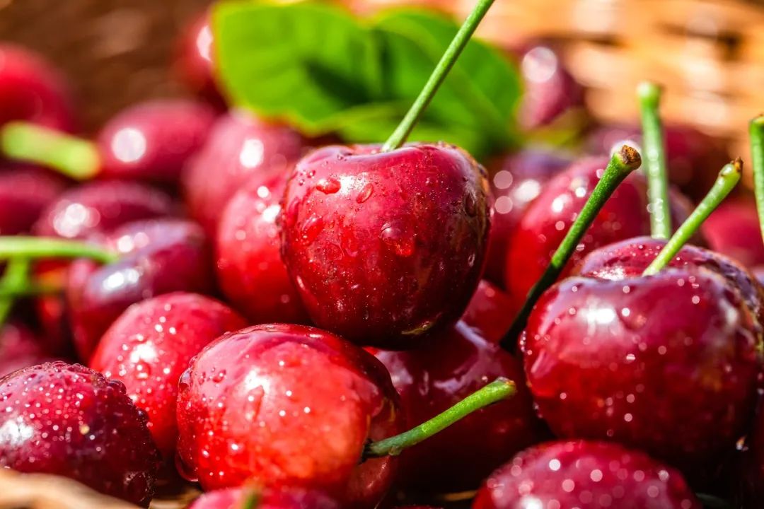 广州机场食品进口清关流程