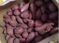 中国首票进口越南紫薯广西龙州通关