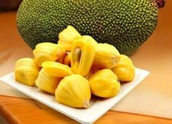 进口马来西亚鲜食菠萝蜜植物检疫要求