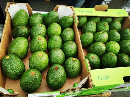 国外食品进口管理要求及准入流程