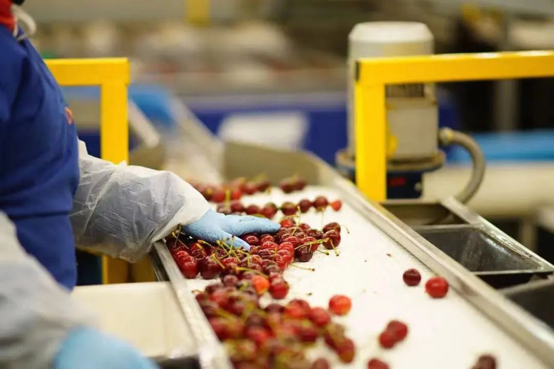 进口食品报关大概通关流程