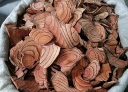 老挝土茯苓和鸡血藤植物的检疫要求