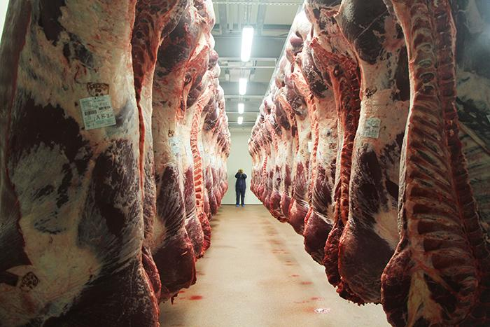 关于进口尼加拉瓜牛肉检验检疫要求的公告