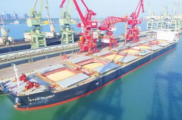 山东口岸首船进口巴西玉米在日照靠泊