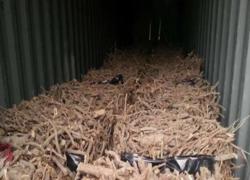 关于进口尼泊尔植物源性中药材植物检疫要求的