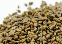 进口老挝植物源性中药材植物检疫要求