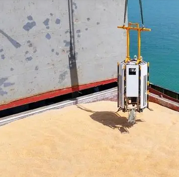 首单外贸进口粮食到货