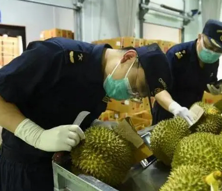 火龙果、菠萝进口量飙升！进口水果“抢鲜”入